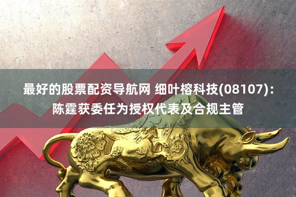 最好的股票配资导航网 细叶榕科技(08107)：陈霆获委任为授权代表及合规主管